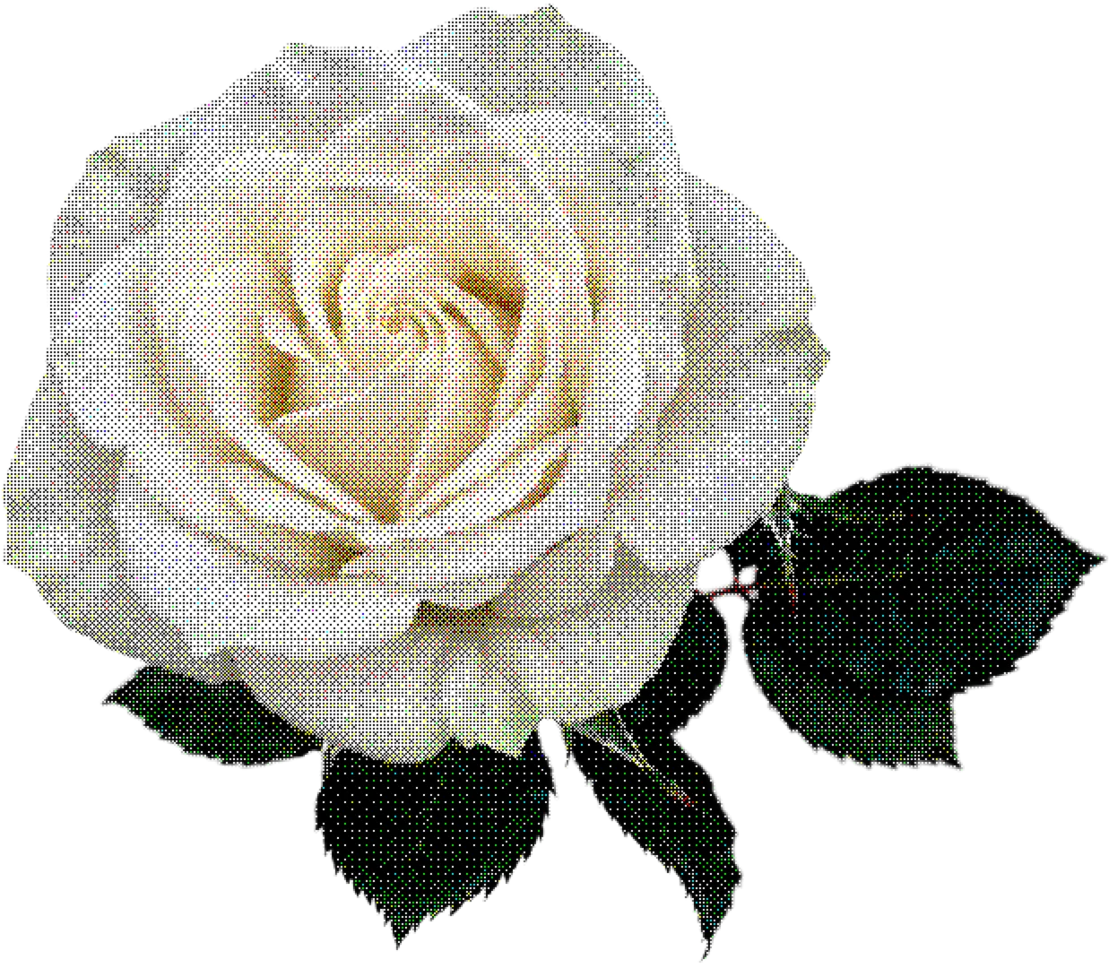 Rosa branca decorativa