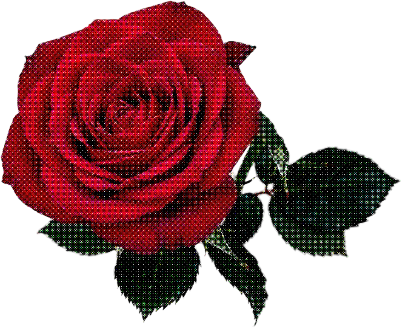 Rosa vermelha decorativa