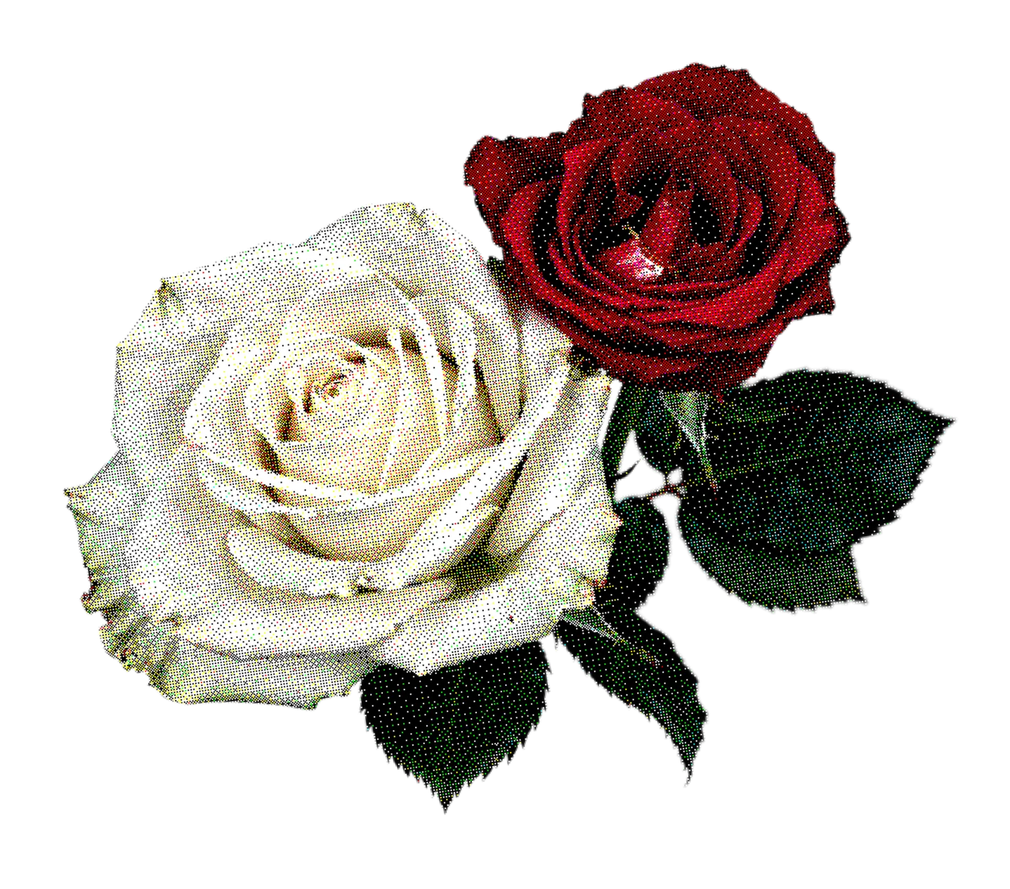 Rosas decorativas